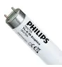 Philips MASTER TL - D Graphica 58W - 952 Bianco Freddo | 150cm